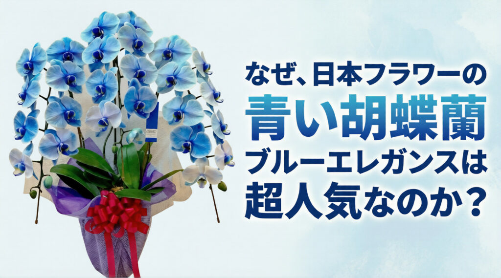 なぜ、日本フラワーの青い胡蝶蘭 ブルーエレガンスは超人気なのか
