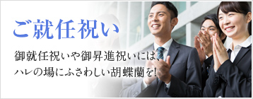 ご就任祝い