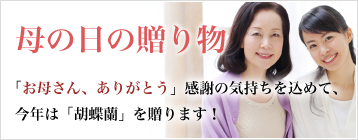 母の日
