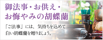 ご法事・お供え・お悔やみ