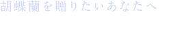 胡蝶蘭格安ギフト通販専門店「全国配送予約」｜東京都八王子の花屋｜日本フラワー