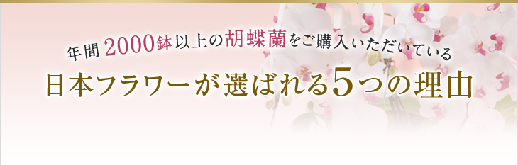 日本フラワーが選ばれる５つの理由