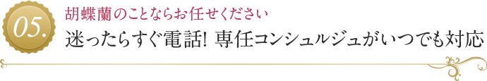 迷ったらすぐ電話! 専任コンシュルジュがいつでも対応