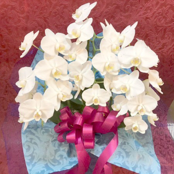 お父さんだって花が欲しい！